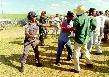 Cenas do agro brasileiro
