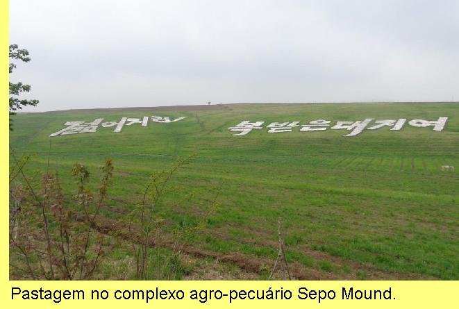 Pastagem no complexo agro-pecu�rio Sepo Mound.
