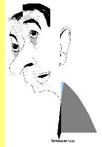 Vitor Gaspar, cartoon de Fern�o Campos.