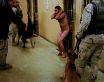 Os c�es de Abu Ghrabi.