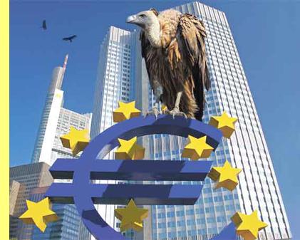 Abutres servem-se do euro.