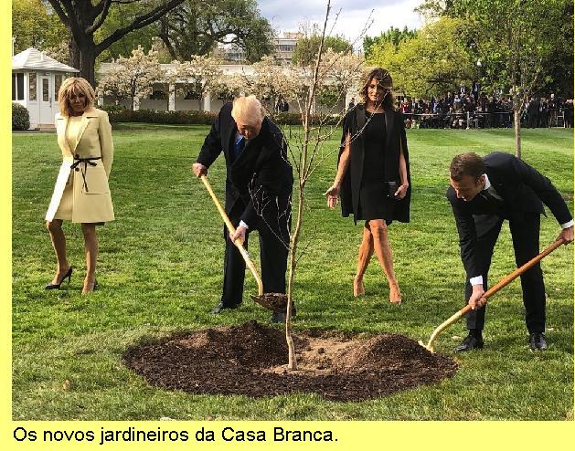 Jardineiros da Casa Branca.