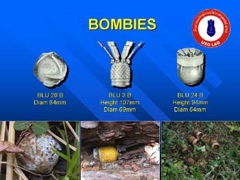 http://www.itvs.org/bombies/