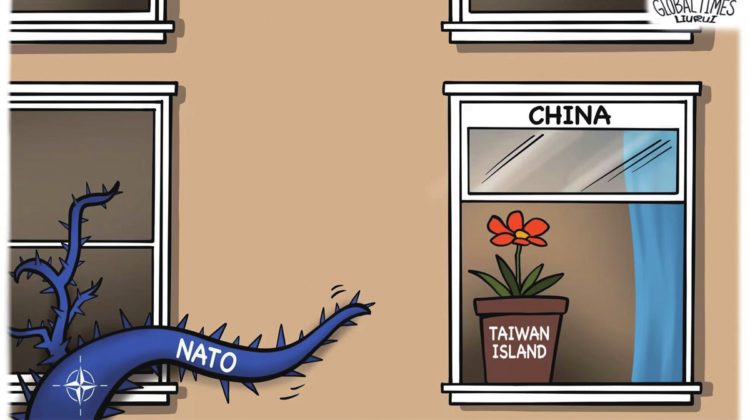 Cartoon de Liu Rui.