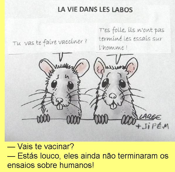 Cartoon de Large e Jip�m.