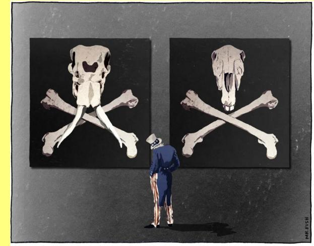 Fsseis, cartoon de Mr.Fish.