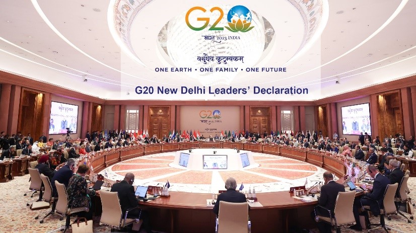 G20, Declaração de Deli.